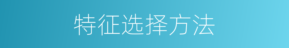 特征选择方法的同义词