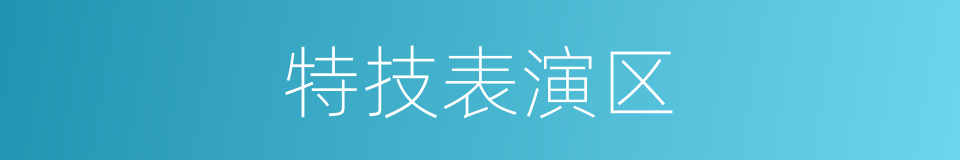 特技表演区的同义词