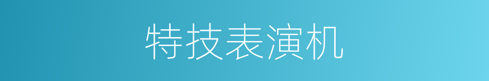 特技表演机的同义词