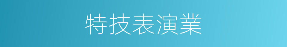 特技表演業的同義詞