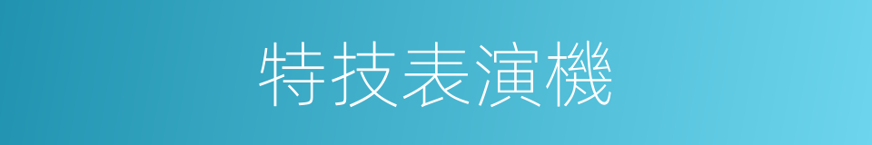 特技表演機的同義詞