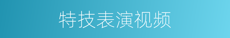 特技表演视频的同义词