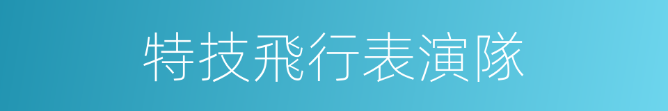 特技飛行表演隊的同義詞