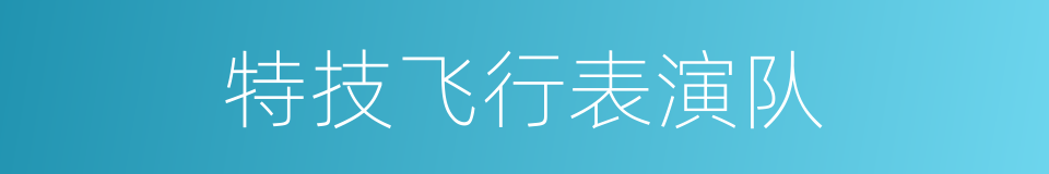 特技飞行表演队的同义词