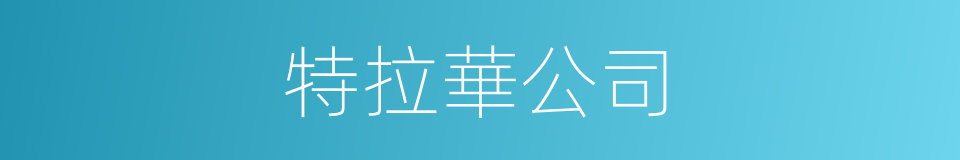 特拉華公司的同義詞