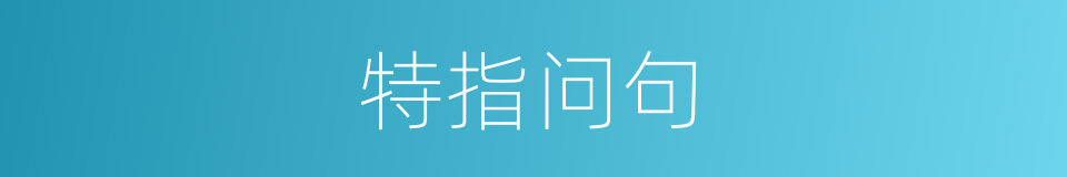 特指问句的同义词