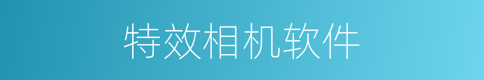特效相机软件的同义词