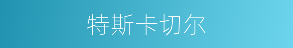 特斯卡切尔的同义词