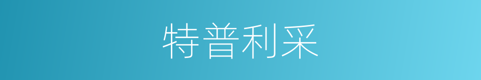 特普利采的同义词