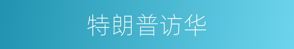 特朗普访华的同义词