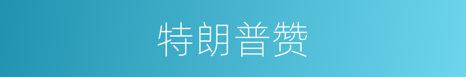 特朗普赞的同义词