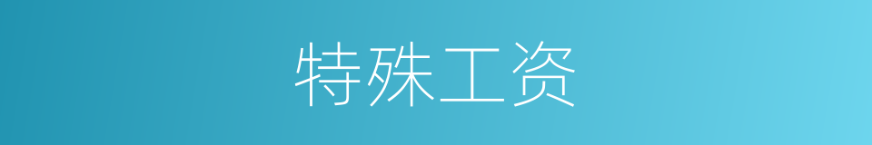 特殊工资的同义词