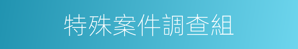 特殊案件調查組的同義詞