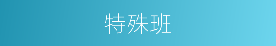 特殊班的同义词