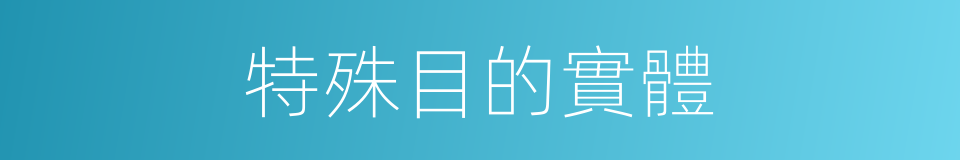 特殊目的實體的同義詞