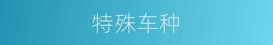 特殊车种的同义词