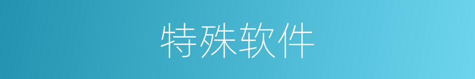特殊软件的同义词