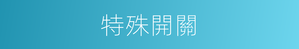 特殊開關的同義詞