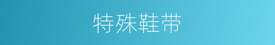 特殊鞋带的同义词