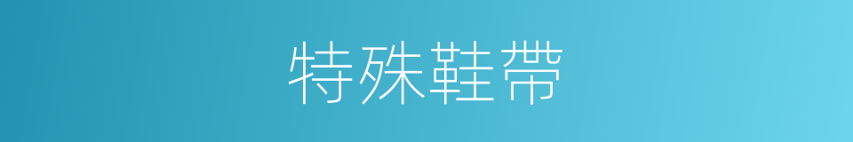 特殊鞋帶的同義詞