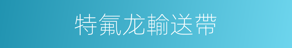 特氟龙輸送帶的同義詞