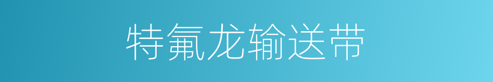 特氟龙输送带的同义词