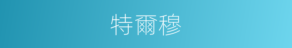 特爾穆的同義詞