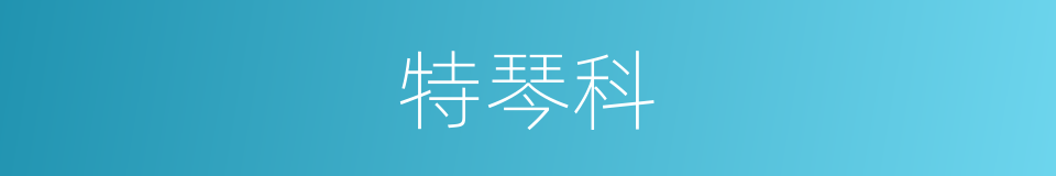 特琴科的同义词