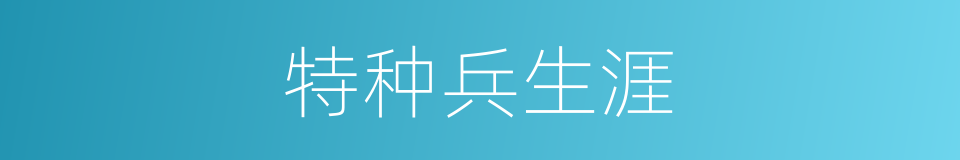 特种兵生涯的同义词