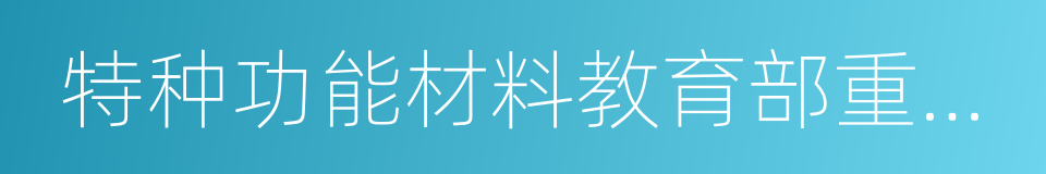 特种功能材料教育部重点实验室的同义词