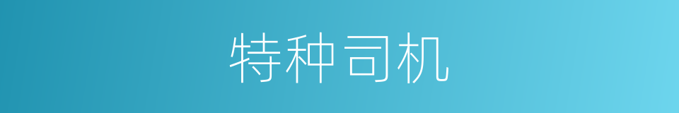 特种司机的同义词