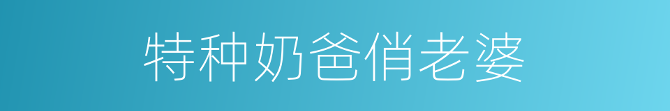 特种奶爸俏老婆的同义词