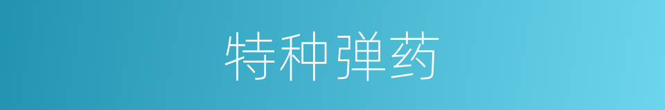 特种弹药的同义词