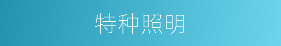 特种照明的同义词