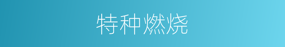 特种燃烧的同义词