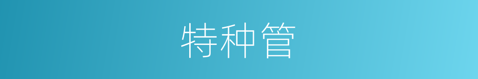 特种管的同义词