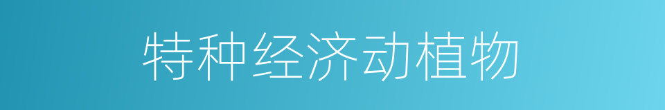 特种经济动植物的同义词