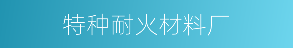 特种耐火材料厂的同义词