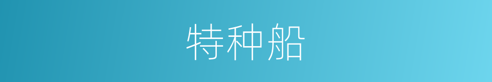 特种船的同义词