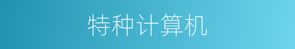 特种计算机的同义词
