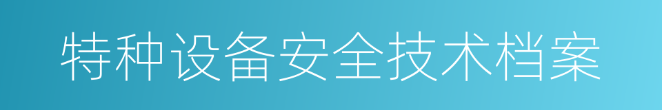 特种设备安全技术档案的同义词