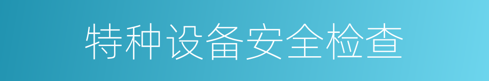 特种设备安全检查的同义词