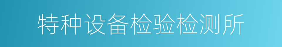 特种设备检验检测所的同义词