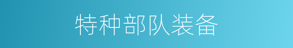 特种部队装备的同义词