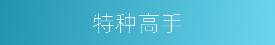 特种高手的同义词