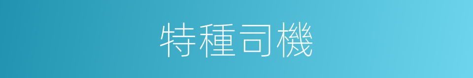 特種司機的同義詞