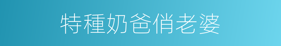 特種奶爸俏老婆的同義詞
