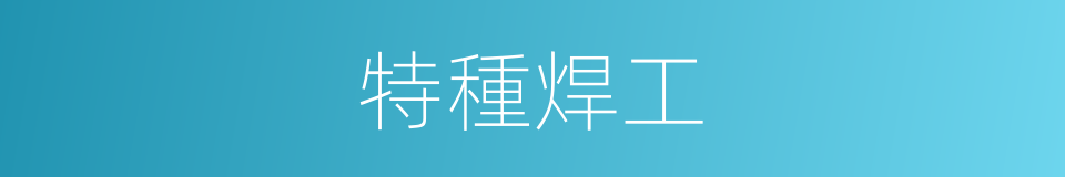 特種焊工的同義詞
