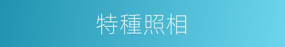 特種照相的同義詞