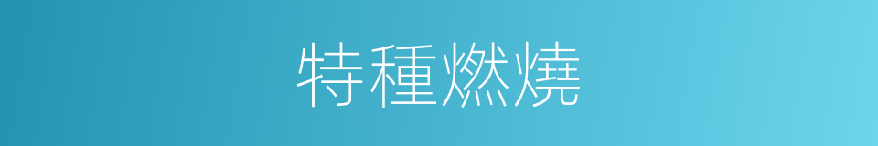 特種燃燒的同義詞